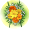 A Guide to Aromatherapy